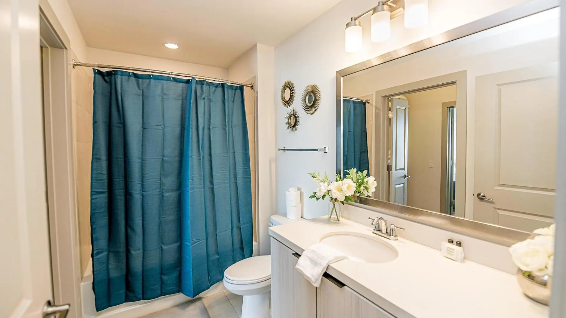 Uptown Furnished Apartments Near Boa Stadium Apts Charlotte